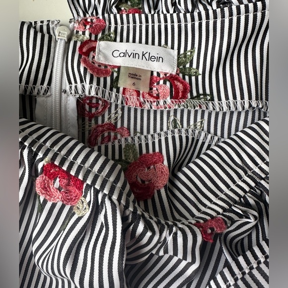 NWT Calvin Klein Striped Floral Embroidery Tie Waist Knee Length Dress Size 6 - Picture 2 of 11
